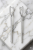 Gemini_Generated_Image_bzhl9bbzhl9bbzhl.png