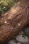 ChatGPT Image 27 lut 2026, 15_39_58.png