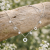 ChatGPT Image 27 lut 2026, 14_38_27.png