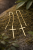 ChatGPT Image 12 mar 2026, 13_32_26.png