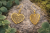 ChatGPT Image 16 mar 2026, 12_09_54.png