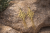 ChatGPT Image 19 mar 2026, 14_54_00.png